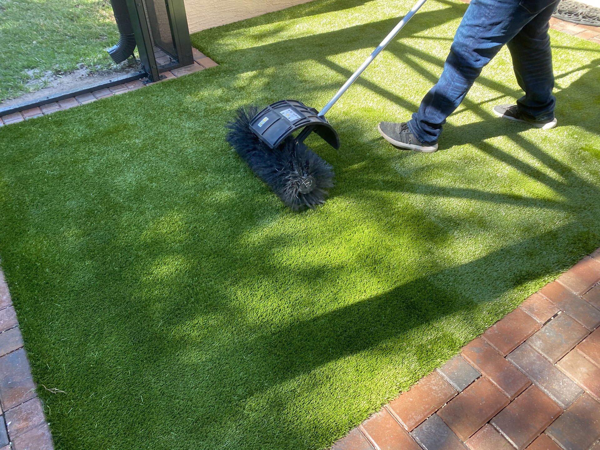 Installing Dog Grass
