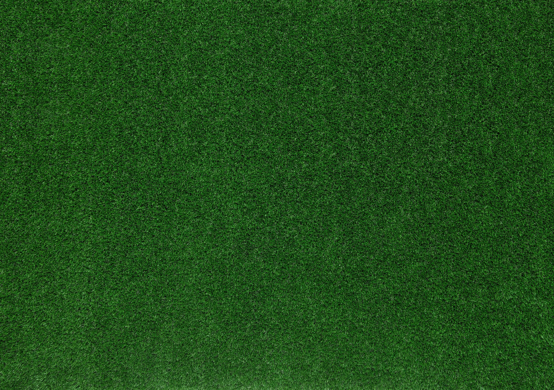 Meadow green grass surface. Turf blank top view background. Template or Banner for gardening shop or online shopping, environmental concept
