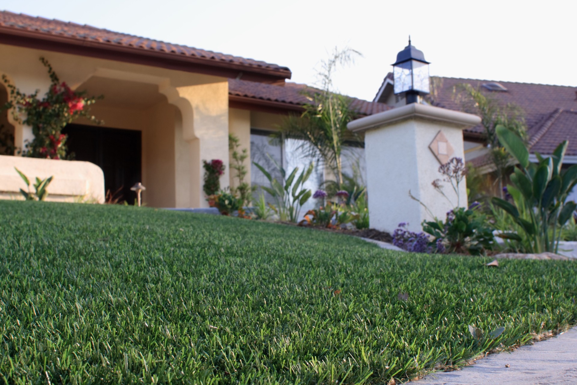 House with Synthetic Lawn